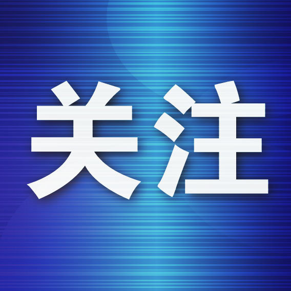 线上股票配资代理 全球最大载重吨位多用途纸浆船在连命名